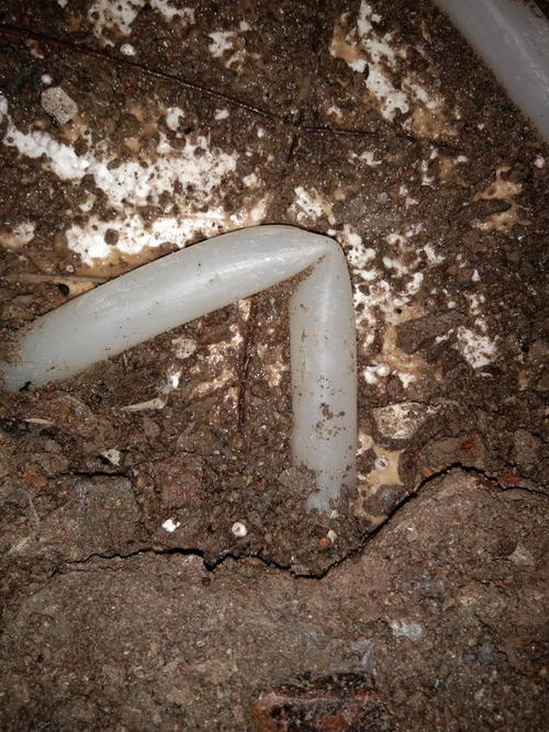 分宜堵点精准查找